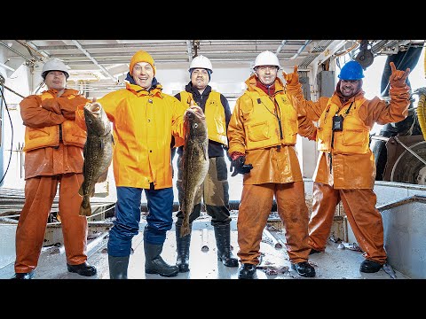 Видео: Рыбалка на Камчатке. Серия #2 Ловим 400 тонн дальневосточного минтая. Берингово море