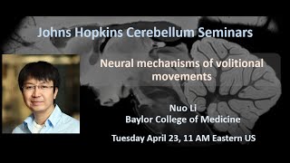 Nuo Li: Neural mechanisms of volitional movement