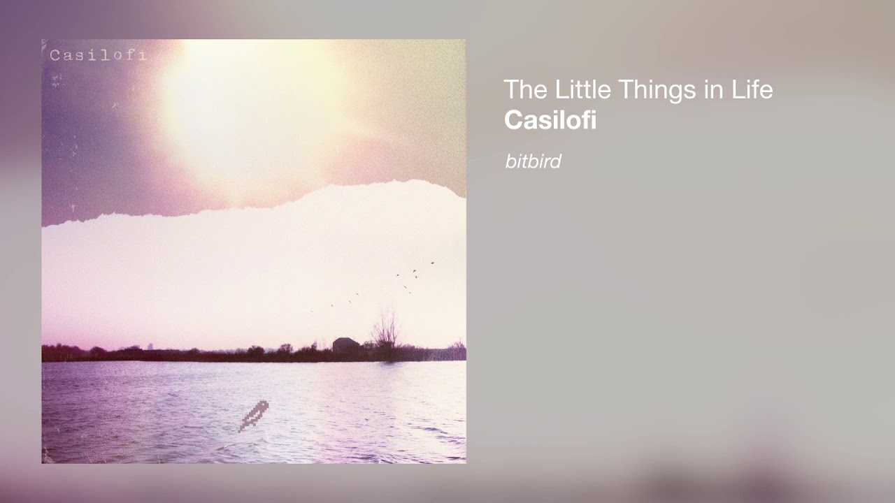 Casilofi - The Little Things in Life