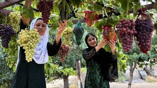 How to Make Delicious Spaghetti in Nature | Simple and Tasty Afghan Food