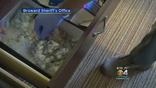 ‘Operation Bad Dose’ Gives Suspected Drug Dealers Taste Of Their Own Medicine