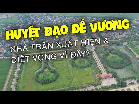 Khám phá HUYỆT ĐẠO ĐẾ VƯƠNG Bí Ẩn Khiến NHÀ TRẦN Xuất Hiện & Diệt Vong Cũng Vì Đây? - youtube