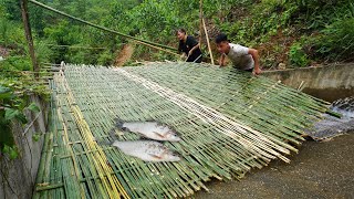 Build fish trap with bamboo and iron net - Family Poor building farm, Green forest life