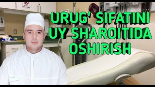 URUG' SIFATINI UY SHAROITIDA OSHIRISH