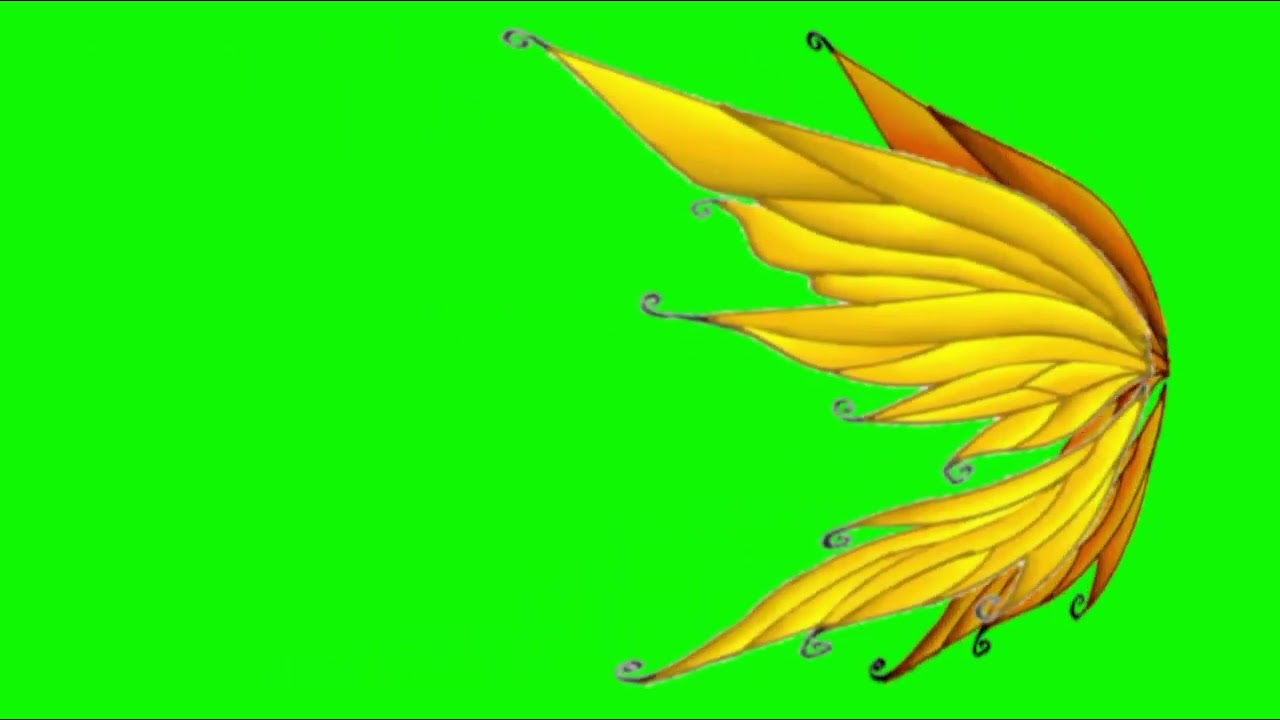 Golden Dreamix Power Fairy Wings Flapping on Green Screen Effects 🪙📀👑🧚‍♀️🪽 (Left)