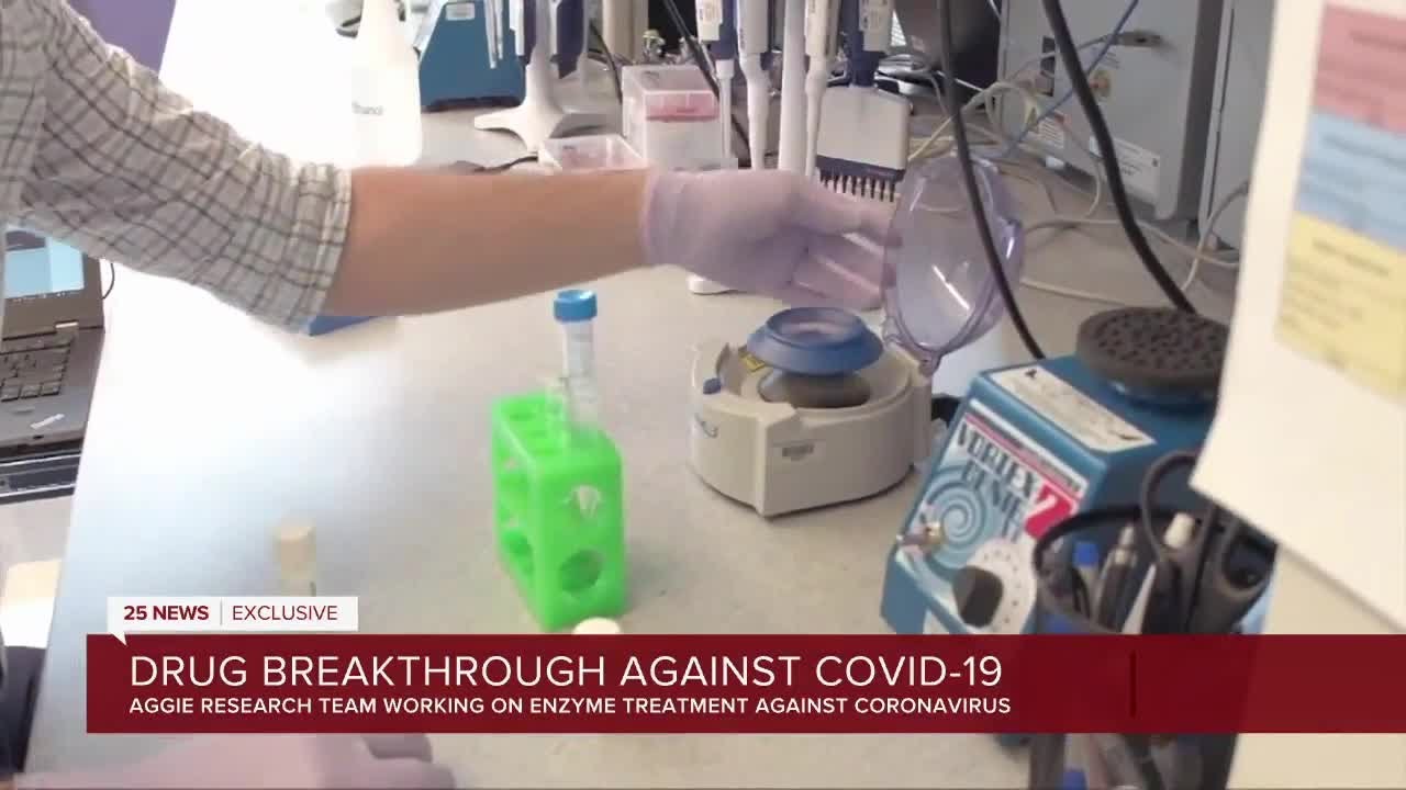 Texas A&M research team leads promising breakthrough for COVID-19 treatment