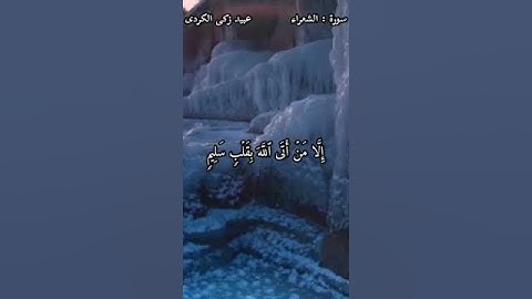 (ولا تخزنى يوم يبعثون) تلاوة لامثيل لها | للقارئ: سورة الشعراء | عبيد زكى الكردى #القرآن  #ستوريات