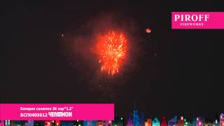 БСП0403612 ЧЕМПИОН