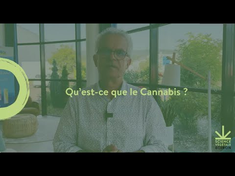 Qu’est-ce que le cannabis ?