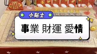事業/財運/愛情/小貼士