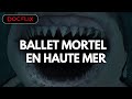 Ballet mortel en haute mer  docflix