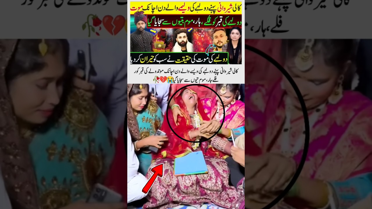 A Big Call To Helpnes 😢