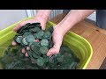 BIGGEST HOARD OF ROMAN COINS FOUND! (of it's kind)