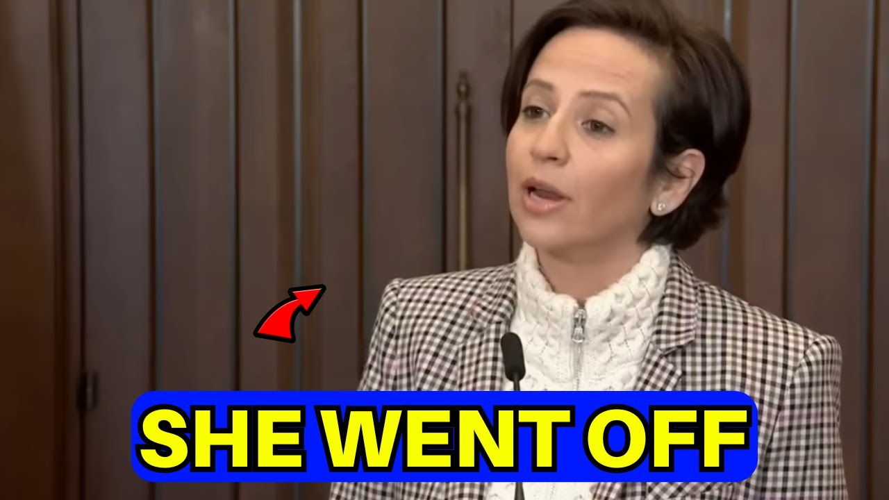 Мелисса Лантсман разгромила либералов Карни во время беседы с журналистами.