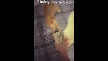 if being lazy was a job #shorts