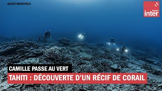 Tahiti : découverte d'un récif de corail intact et gigantesque !