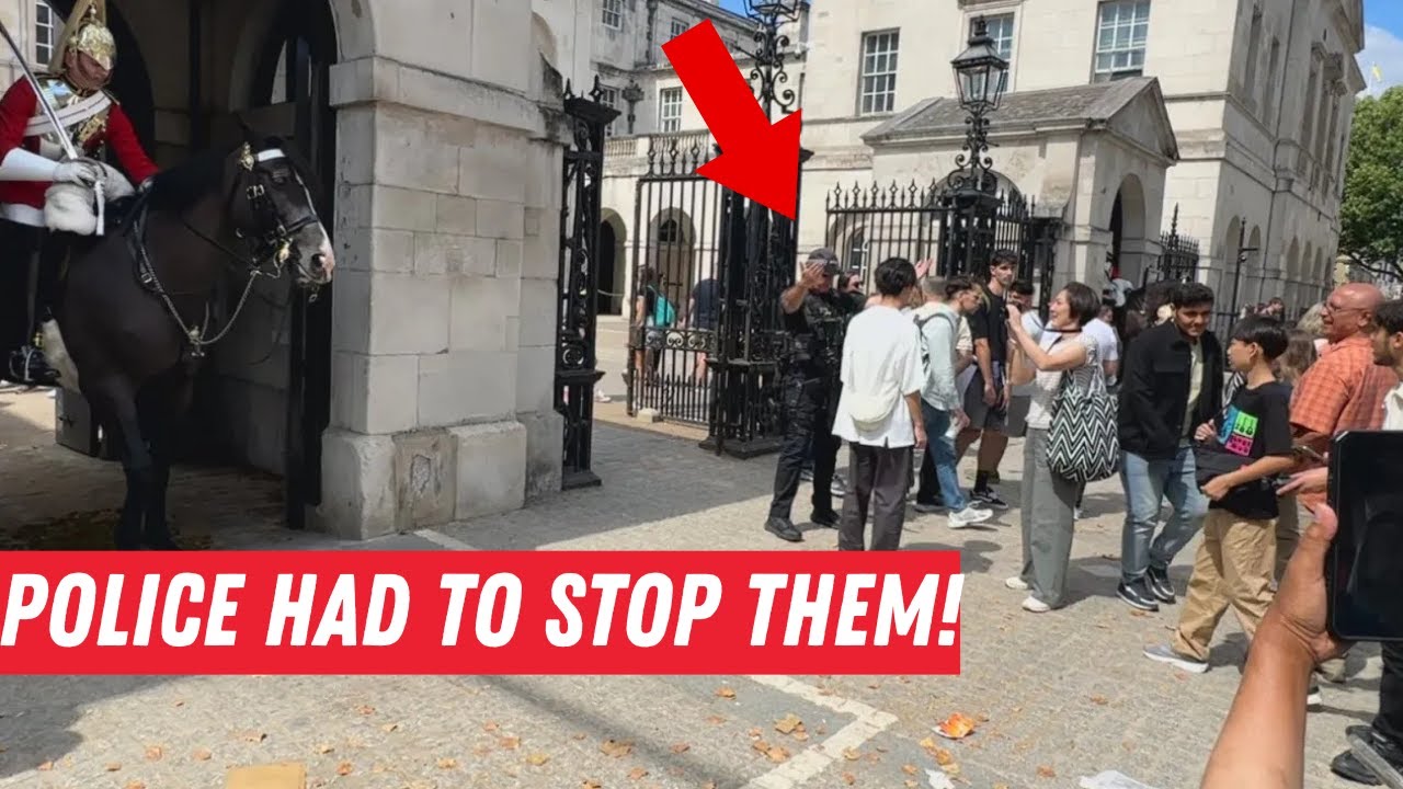 Police RUSH IN After Tourists Disrespect Royal Guards!