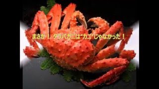 三大蟹 毛ガニ ズワイガニ タラバガニ