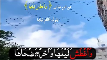 أَنْتُمْ أَشَدُّ خَلْقًا أَمِ السَّمَاءُ بَنَاهَا || محمد كمال || سورة النازعات