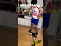 ぜったい寝るふうちゃん