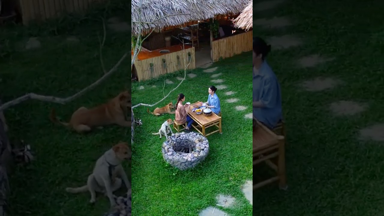 Anchovies from the Countryside  