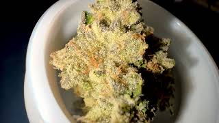 710Labs Live Rosin Badder & Flower