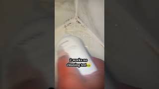 This Is The Cleantok Cleaner Everyone Is Talking About Azqpod Is Removing Stains I Thought Were