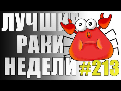 Видео: ЛРН выпуск №213 🤪 ПОЛЕЗНЫЙ АФКашер и БЕЗУМНЫЙ КОЛЁСНИК! [Лучшие Раки Недели]