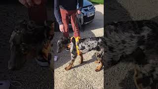 Cherche L'intrus. 12-03-2026 . #automobile