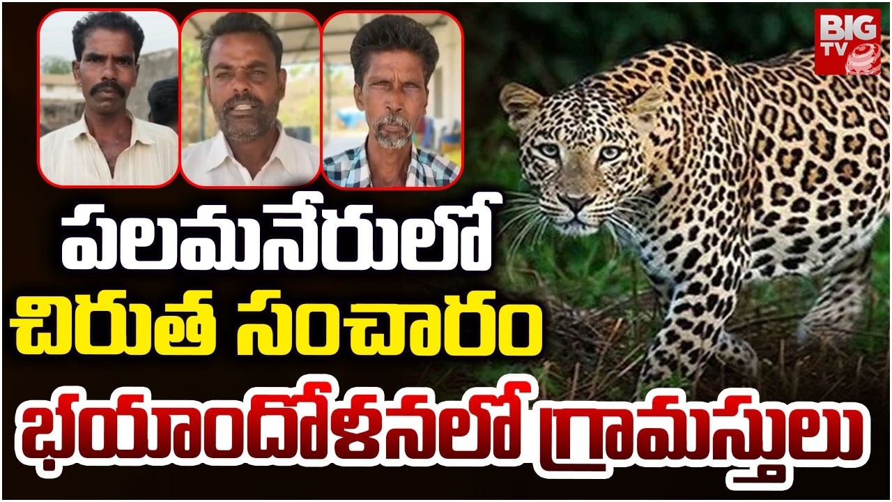 పలమనేరులో చిరుత సంచారం | Chirutha Spotted In Palamaneru | Chittor | BIG TV Tirupati