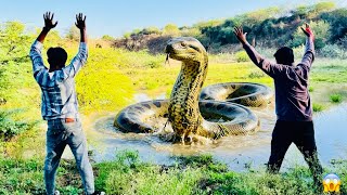 T-Rex vs Giant Anaconda 🦖🐍 | PART 7 – Fight for Survival!