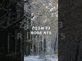 FIrst snow relax field recording #zoom #winter walk #fieldrecordings