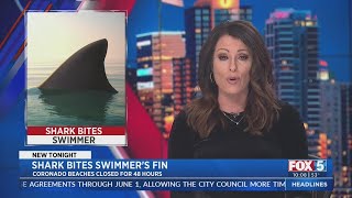 Beach Closed For 2 Days After Shark Bites Swimmer's Fin Near Coronado