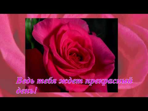 Доброе утро! Самое красивое пожелание Доброго Утра! Хорошего дня!