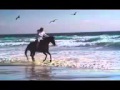 اعذروني فاض همي ابو خالد