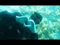 【好倫】 一起坐亞洲唯一的觀光潛水艇看珊瑚 吧!