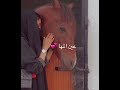 الي ما يقدر وجودك لا تعظم غيابة عمر البحر ماشال هم سفينة