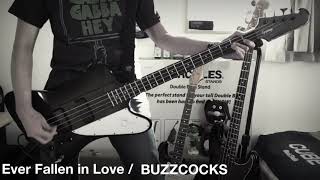 Ever Fallen in Love / BUZZCOCKS / Bass Cover #43