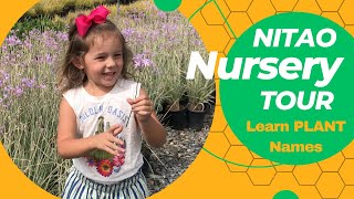 Nursery Tour Learn Plant Names - Flower Names - Lola&#39;s Tour | MOODY BLOOMS