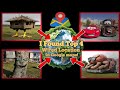I Found Top 4 Weirdest things In Google Maps And Google Earth!#map#earthunseen#googleearth