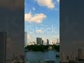 #amazing #viral