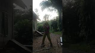 kicah manua #musica #music #cover m