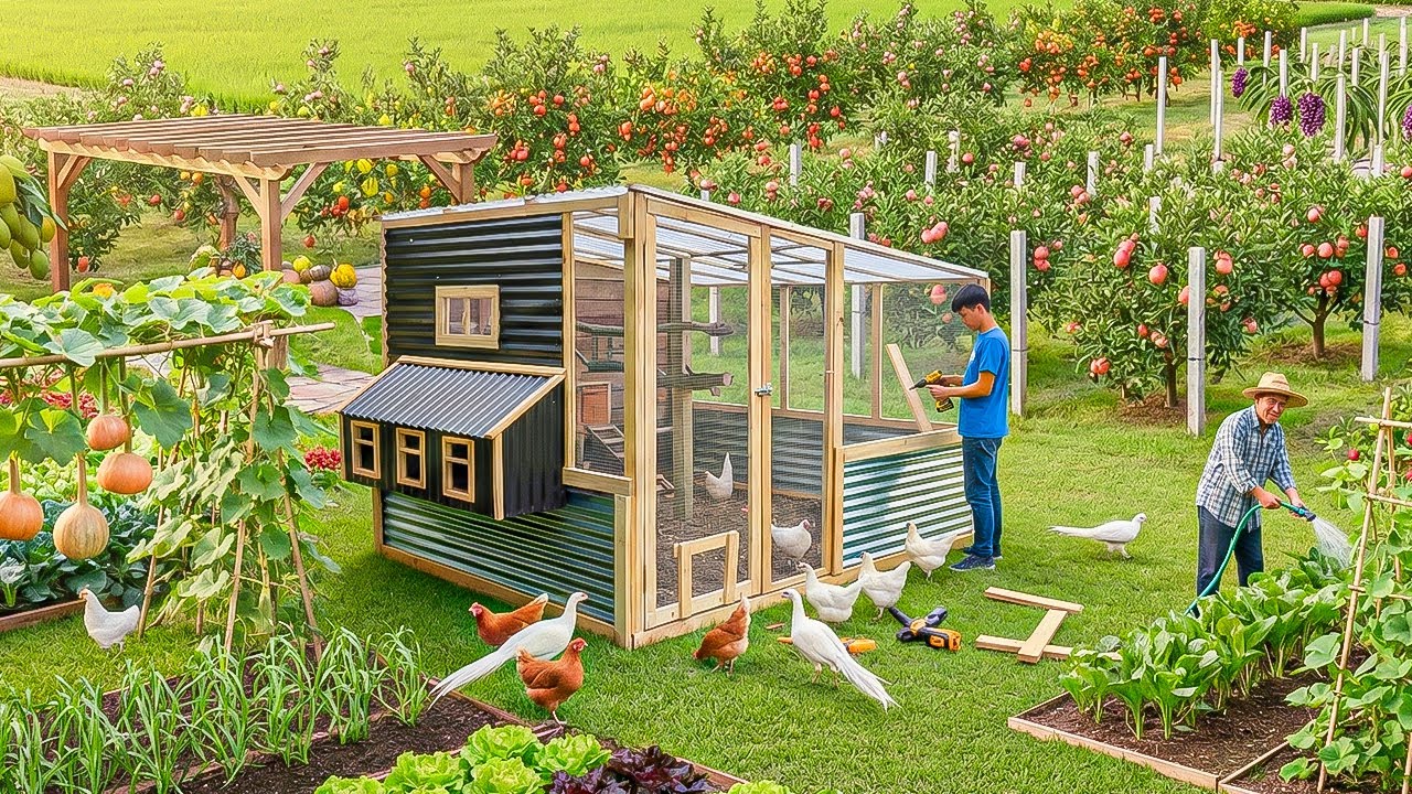 Country Life: Orphan Boy Building Coops and Raising Silver Pheasant After Flood Destroyed Farm