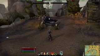 Elder Scrolls Online - Leg Spin Glitch