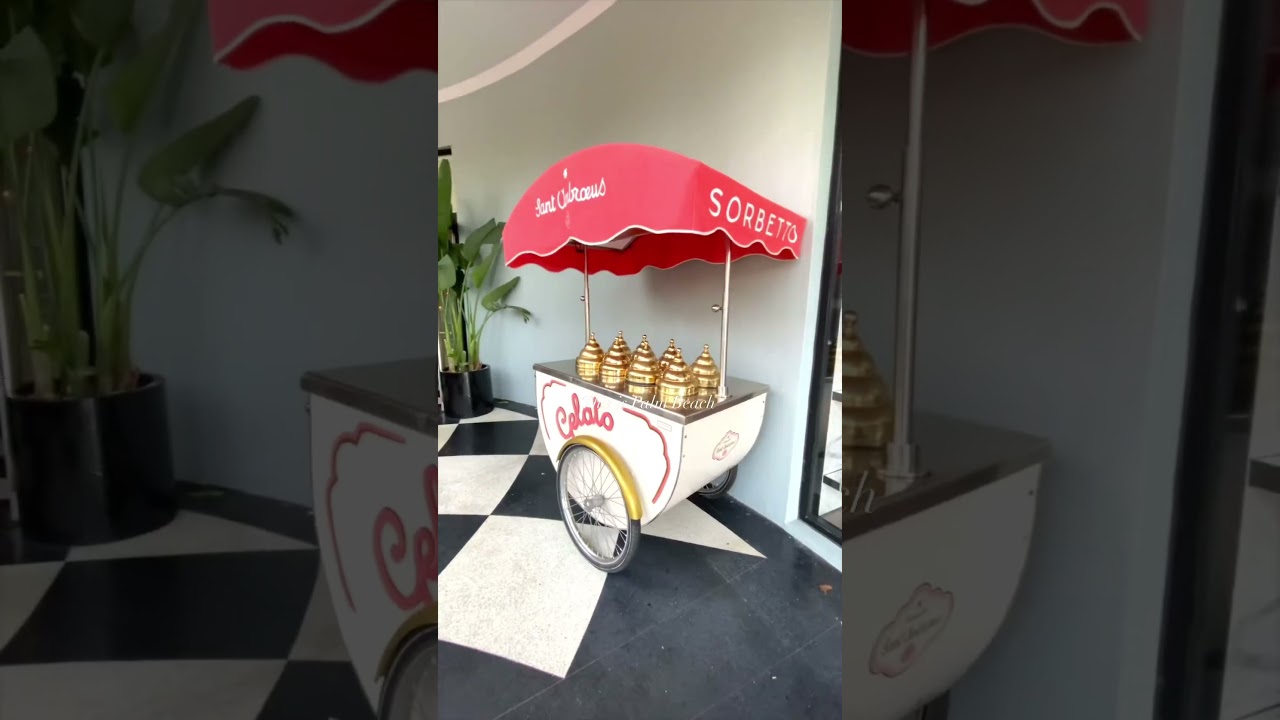 This is Palm Beach 🌴