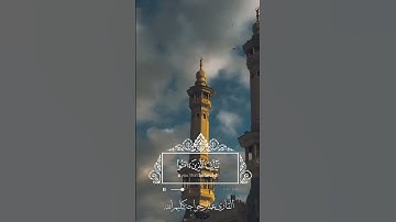 ﴿إِنَّ اللَّهَ وَمَلائِكَتَهُ يُصَلّونَ عَلَى النَّبِيِّ﴾ سورة الأحزاب #يوم_الجمعة #ﷺ #تلاوات