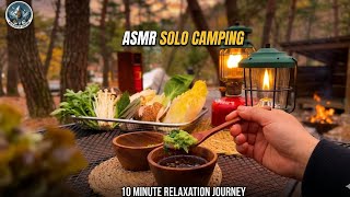 Cozy Rainy Night Solo Camping ASMR | Bushcraft Shelther &amp; Forest Sounds #solocamping 