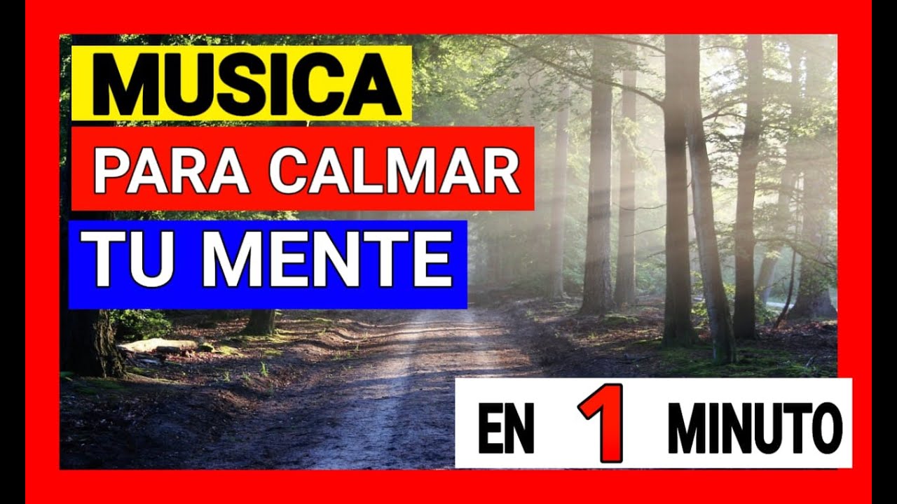 VIDA SANA MUSICA PARA CALMAR LA MENTE Y DEJAR DE PENSAR como despejar
