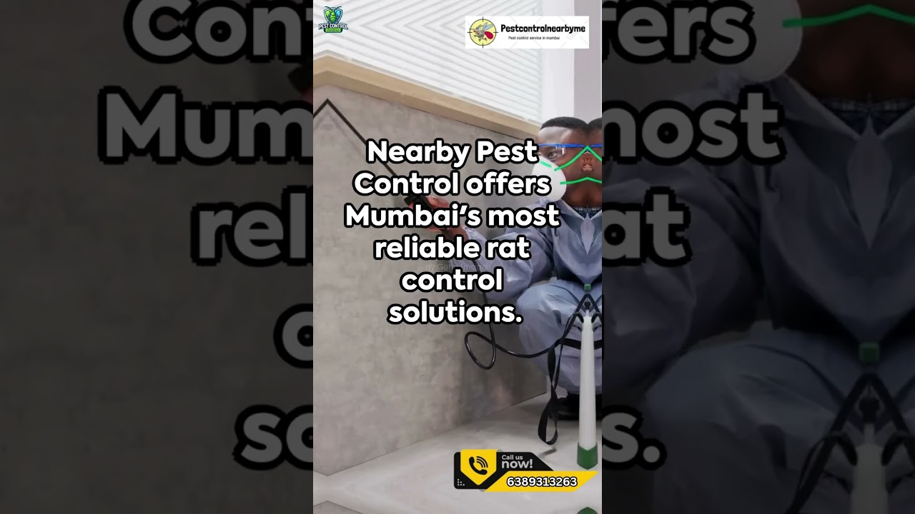 Stop Rats FAST! Best Pest Control in Mumbai U Need to Know  #pestcontrol #mumbai #pestcontrolnearme