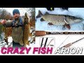 Crazy Fish ARION ASR762S-L - тест спиннинга на зимней реке по щуке. Ловля щуки зимой на джиг